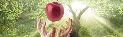 ما هي خطية آدم الحقيقية؟ ما هي خطية آدم الحقيقية؟