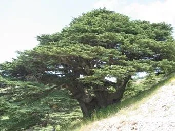 هذه عقائدنا هذه عقائدنا