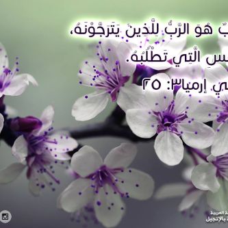 آيات من الكتاب المقدس عن البحث عن الله