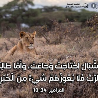 آيات من الكتاب المقدس عن البر